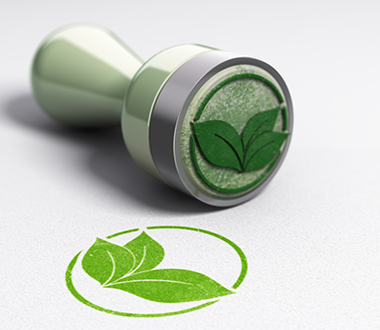 Sustainability Certifications – What Are They And How Do They Differ From Each Other?